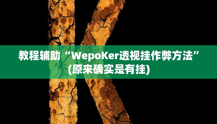 教程辅助“WepoKer透视挂作弊方法”(原来确实是有挂)