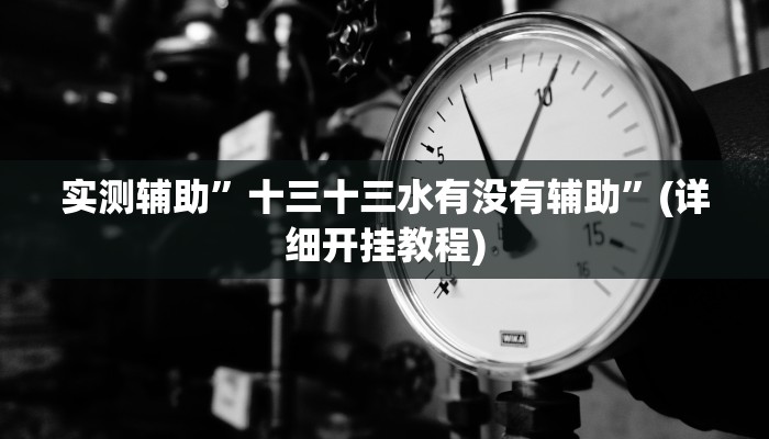 实测辅助”十三十三水有没有辅助”(详细开挂教程)