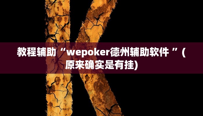 教程辅助“wepoker德州辅助软件 ”(原来确实是有挂)