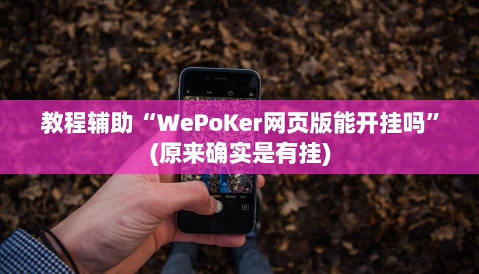教程辅助“WePoKer网页版能开挂吗”(原来确实是有挂)