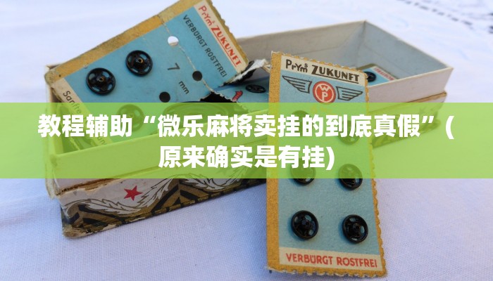 教程辅助“微乐麻将卖挂的到底真假”(原来确实是有挂)