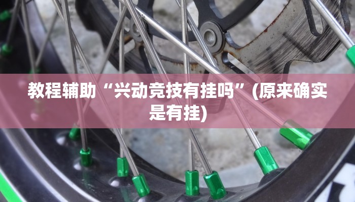 教程辅助“兴动竞技有挂吗”(原来确实是有挂)
