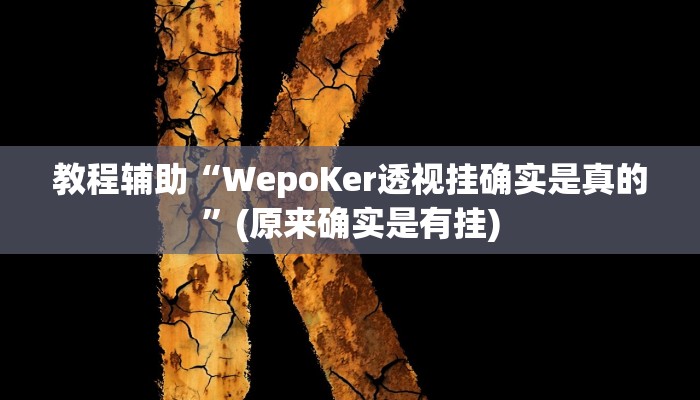 教程辅助“WepoKer透视挂确实是真的”(原来确实是有挂)