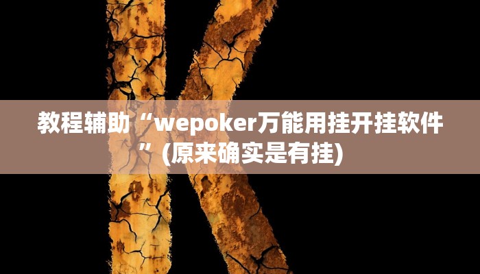 教程辅助“wepoker万能用挂开挂软件”(原来确实是有挂)