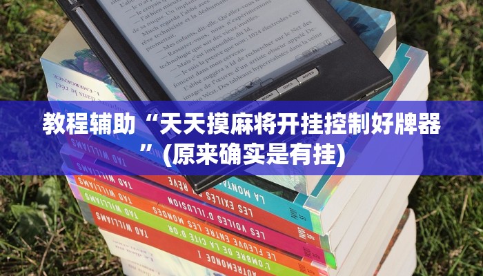 教程辅助“财神十三张开挂的软件”(原来确实是有挂)