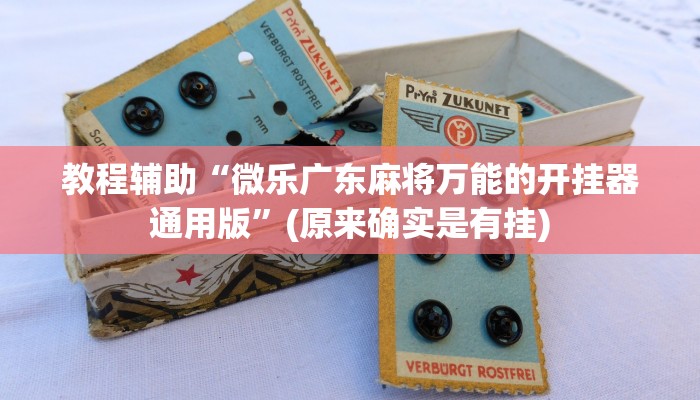 教程辅助“微乐广东麻将万能的开挂器通用版”(原来确实是有挂)