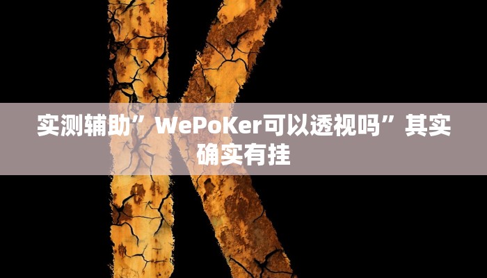教程辅助“打牌网通用挂”(原来确实是有挂)