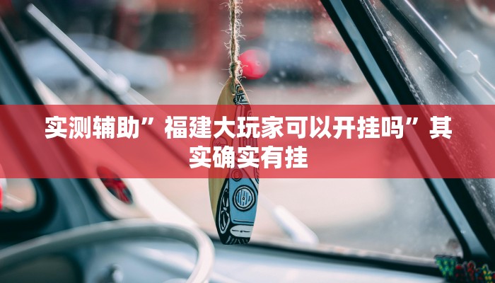 实测辅助”福建大玩家可以开挂吗”其实确实有挂
