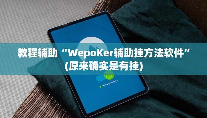 教程辅助“WepoKer辅助挂方法软件”(原来确实是有挂)