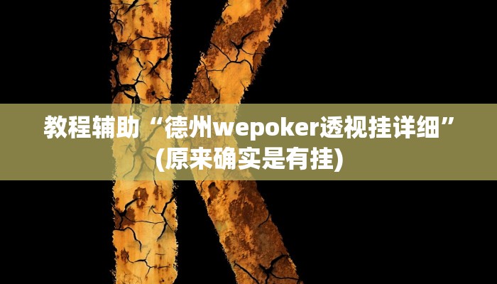 教程辅助“德州wepoker透视挂详细”(原来确实是有挂)