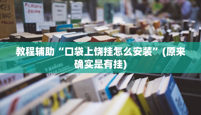 教程辅助“口袋上饶挂怎么安装”(原来确实是有挂)