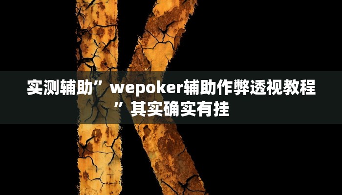 实测辅助”wepoker辅助作弊透视教程”其实确实有挂