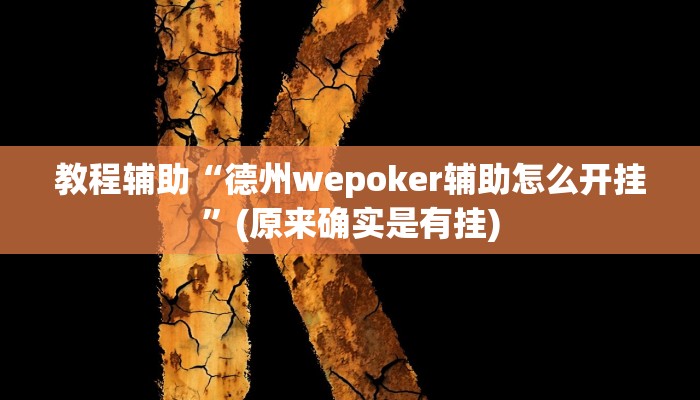 教程辅助“德州wepoker辅助怎么开挂”(原来确实是有挂)