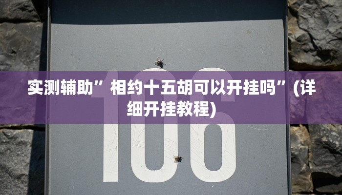 实测辅助”相约十五胡可以开挂吗”(详细开挂教程)