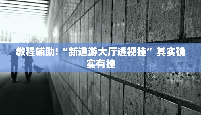 教程辅助!“新道游大厅透视挂”其实确实有挂