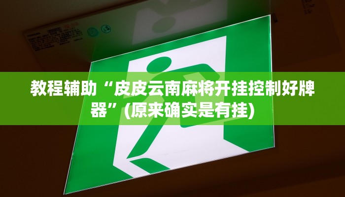 教程辅助“皮皮云南麻将开挂控制好牌器”(原来确实是有挂)