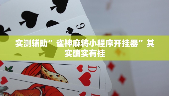 实测辅助”雀神麻将小程序开挂器”其实确实有挂