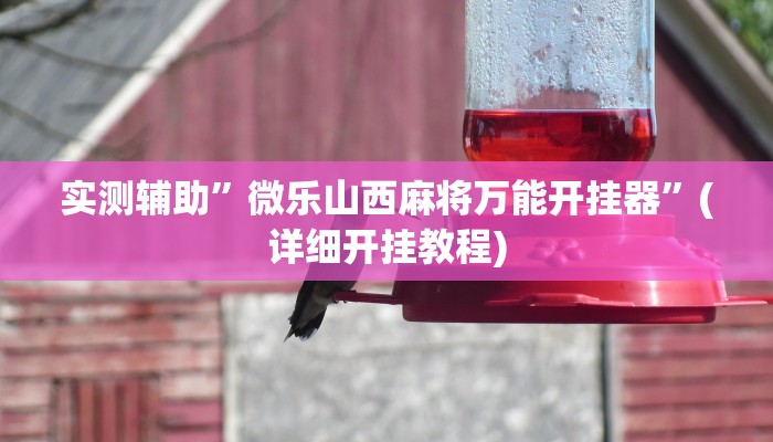 实测辅助”微乐山西麻将万能开挂器”(详细开挂教程)