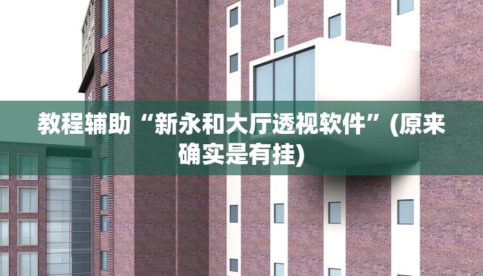教程辅助“新永和大厅透视软件”(原来确实是有挂)