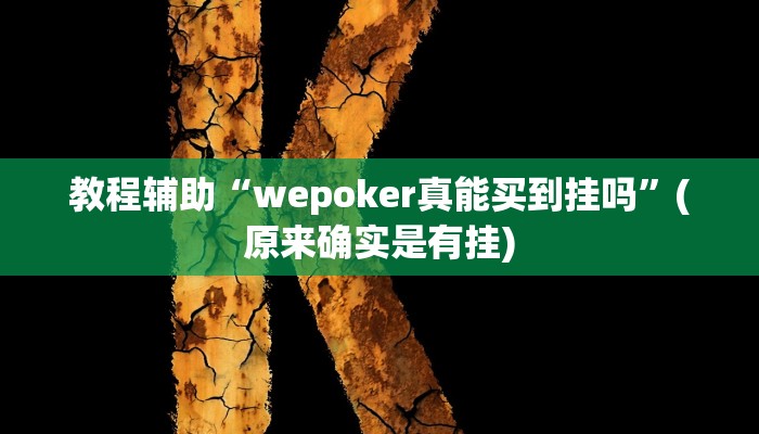 教程辅助“wepoker真能买到挂吗”(原来确实是有挂)