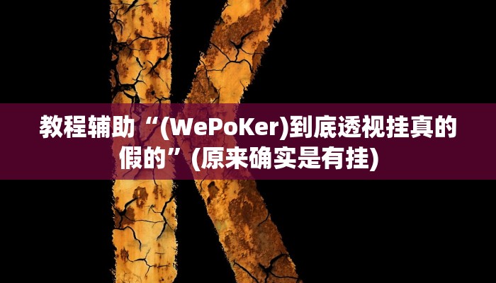 教程辅助“(WePoKer)到底透视挂真的假的”(原来确实是有挂)