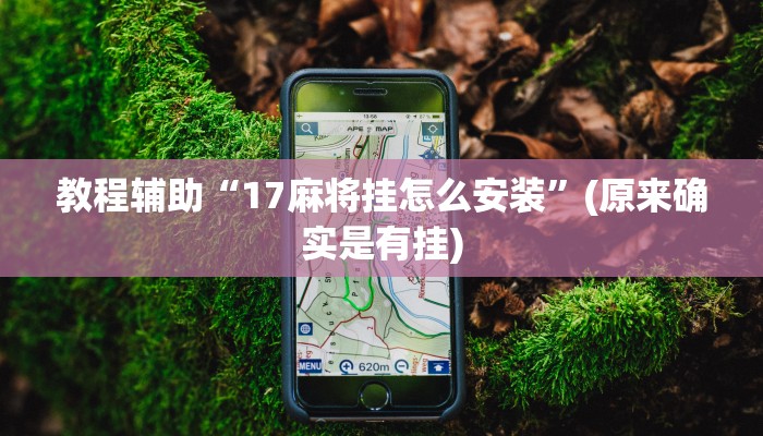 教程辅助“17麻将挂怎么安装”(原来确实是有挂)