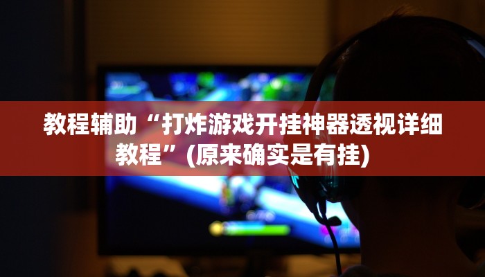 教程辅助“打炸游戏开挂神器透视详细教程”(原来确实是有挂)