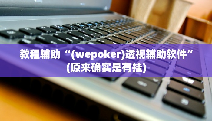 教程辅助“(wepoker)透视辅助软件”(原来确实是有挂)