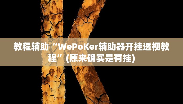 教程辅助“WePoKer辅助器开挂透视教程”(原来确实是有挂)