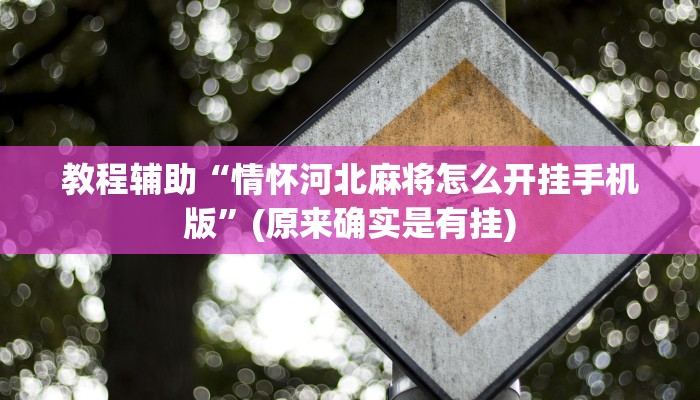 教程辅助“情怀河北麻将怎么开挂手机版”(原来确实是有挂)