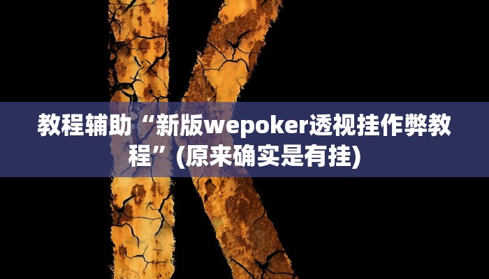 教程辅助“新版wepoker透视挂作弊教程”(原来确实是有挂)