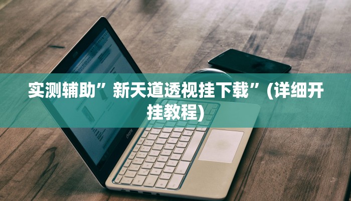 实测辅助”新天道透视挂下载”(详细开挂教程)