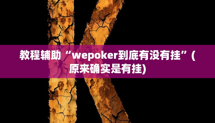 教程辅助“wepoker到底有没有挂”(原来确实是有挂)