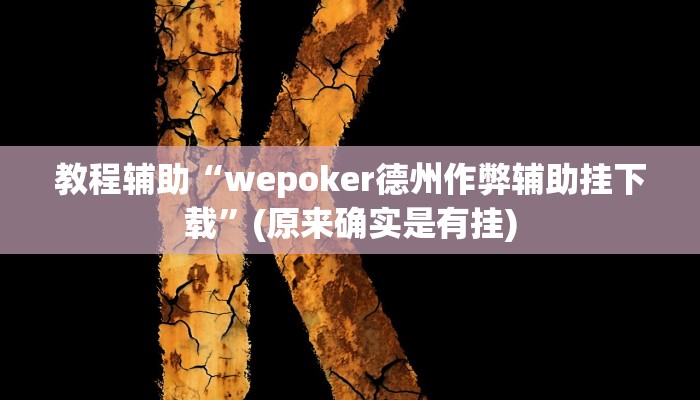 教程辅助“wepoker德州作弊辅助挂下载”(原来确实是有挂)