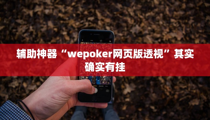 辅助神器“wepoker网页版透视”其实确实有挂