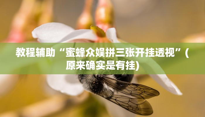 教程辅助“蜜蜂众娱拼三张开挂透视”(原来确实是有挂)