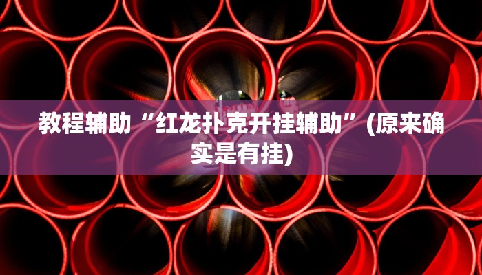 教程辅助“红龙扑克开挂辅助”(原来确实是有挂)