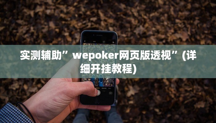 实测辅助”wepoker网页版透视”(详细开挂教程)