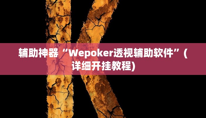 辅助神器“Wepoker透视辅助软件”(详细开挂教程)