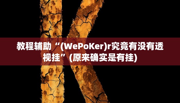 教程辅助“(WePoKer)r究竟有没有透视挂”(原来确实是有挂)