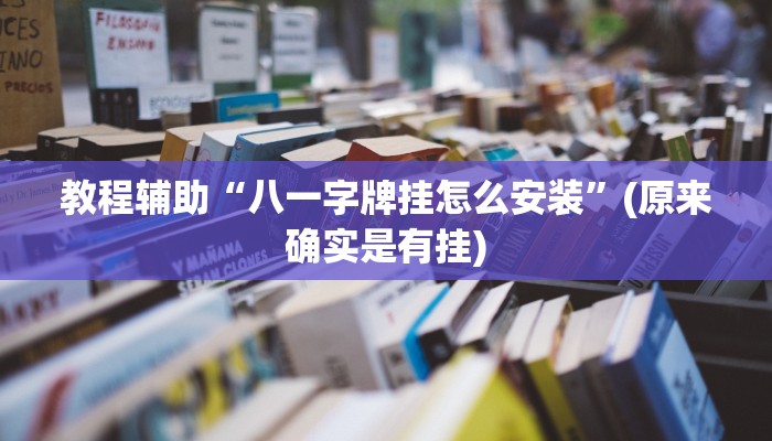 教程辅助“八一字牌挂怎么安装”(原来确实是有挂)
