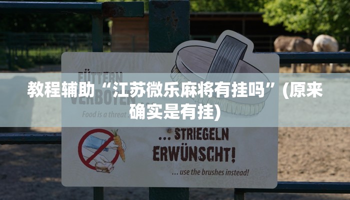 教程辅助“江苏微乐麻将有挂吗”(原来确实是有挂)