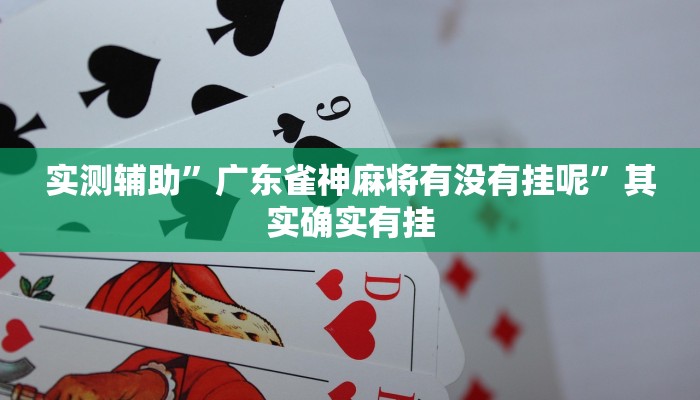实测辅助”广东雀神麻将有没有挂呢”其实确实有挂