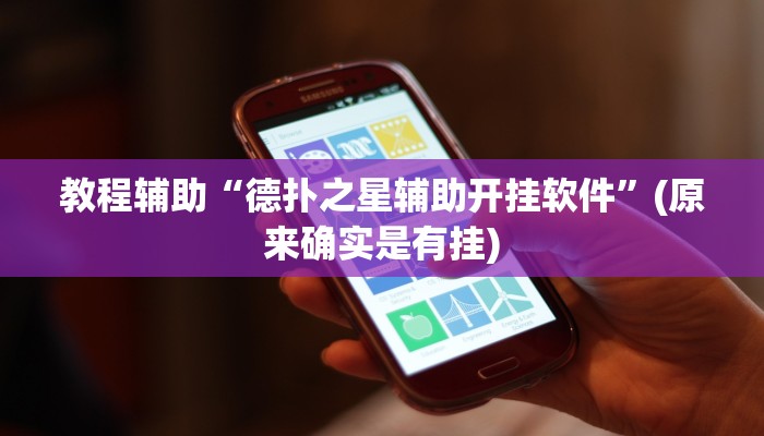 教程辅助“德扑之星辅助开挂软件”(原来确实是有挂)