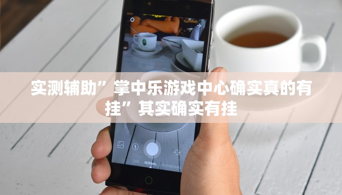 实测辅助”掌中乐游戏中心确实真的有挂”其实确实有挂
