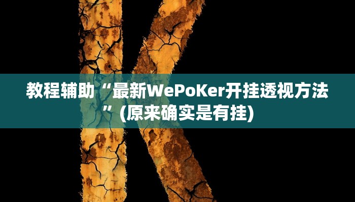 教程辅助!“微乐陕西麻将必赢神器”(详细开挂教程)