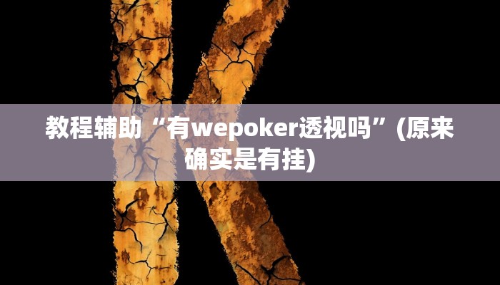 教程辅助“有wepoker透视吗”(原来确实是有挂)