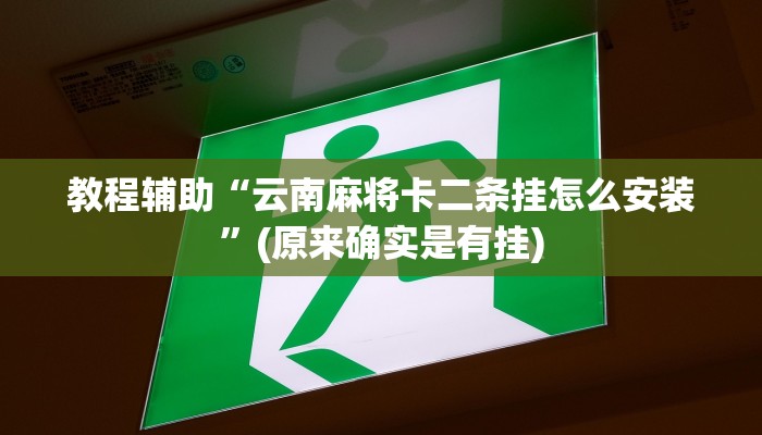 教程辅助“云南麻将卡二条挂怎么安装”(原来确实是有挂)