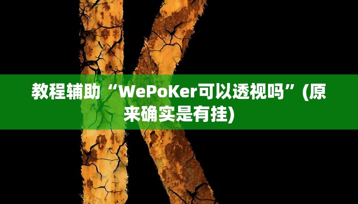 教程辅助“WePoKer可以透视吗”(原来确实是有挂)