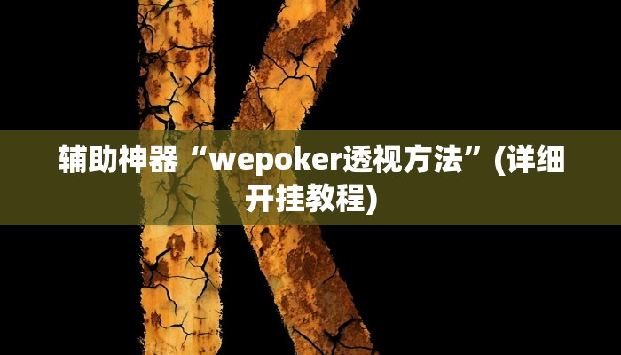 辅助神器“wepoker透视方法”(详细开挂教程)